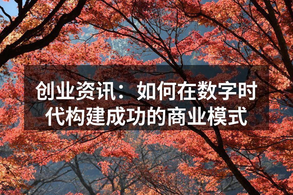 创业资讯：如何在数字时代构建成功的商业模式