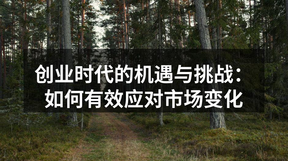 创业时代的机遇与挑战：如何有效应对市场变化